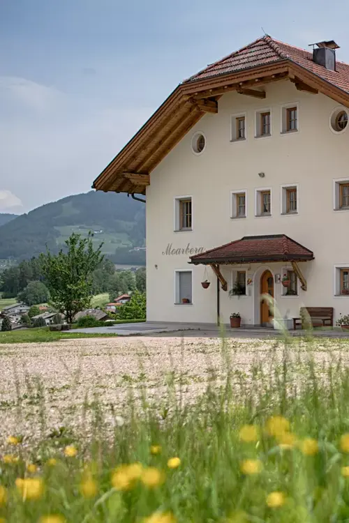 header1_moarberg-1.webp