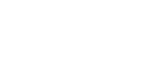 logo_negativ.webp