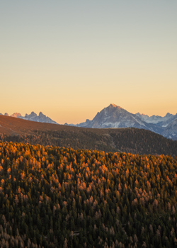 AngeboteSüdtirol.jpg