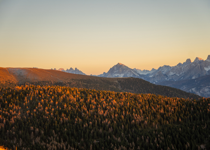 AngeboteSüdtirol.jpg